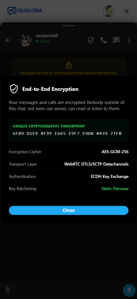 End-to-end encryption details modal with cryptographic fingerprint